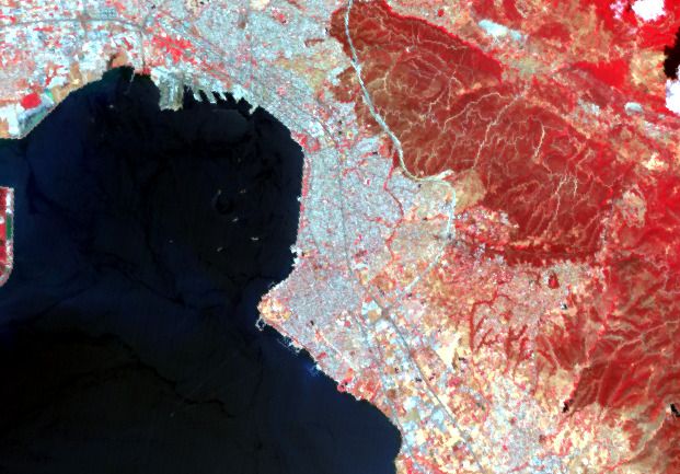 Πόλη και κόλπος σε ψευδόχρωμο υπερύθρου, η βλάστηση σε κόκκινο