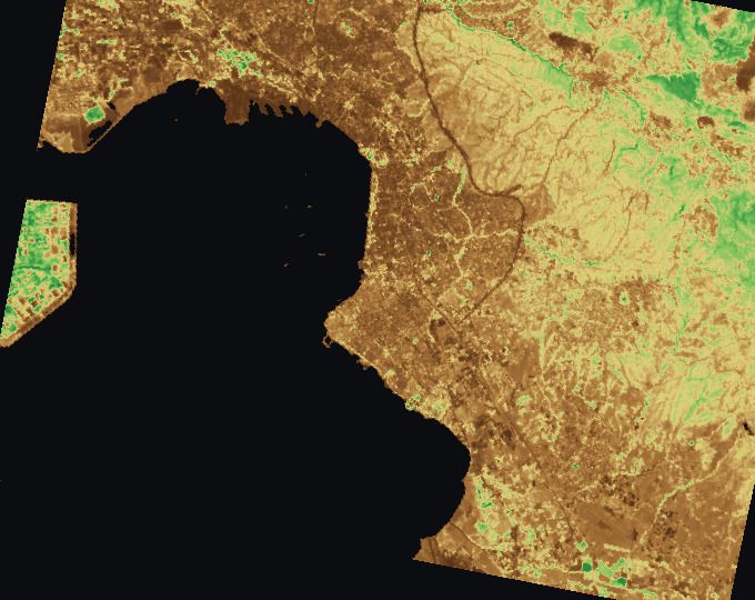 Θεσσαλονίκη και γύρω αγροτεμάχια, χάρτης δείκτη: LAI