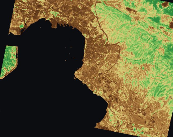 Θεσσαλονίκη και γύρω αγροτεμάχια, χάρτης δείκτη: NDVI