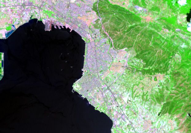 Πόλη και κόλπος σε βραχύ υπέρυθρο, η βλάστηση σε πράσινο